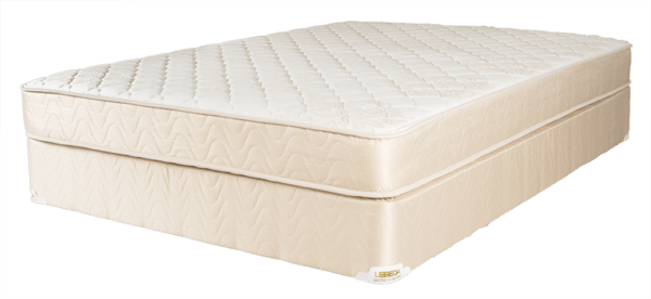 scallop pearl firm mattress reviews
